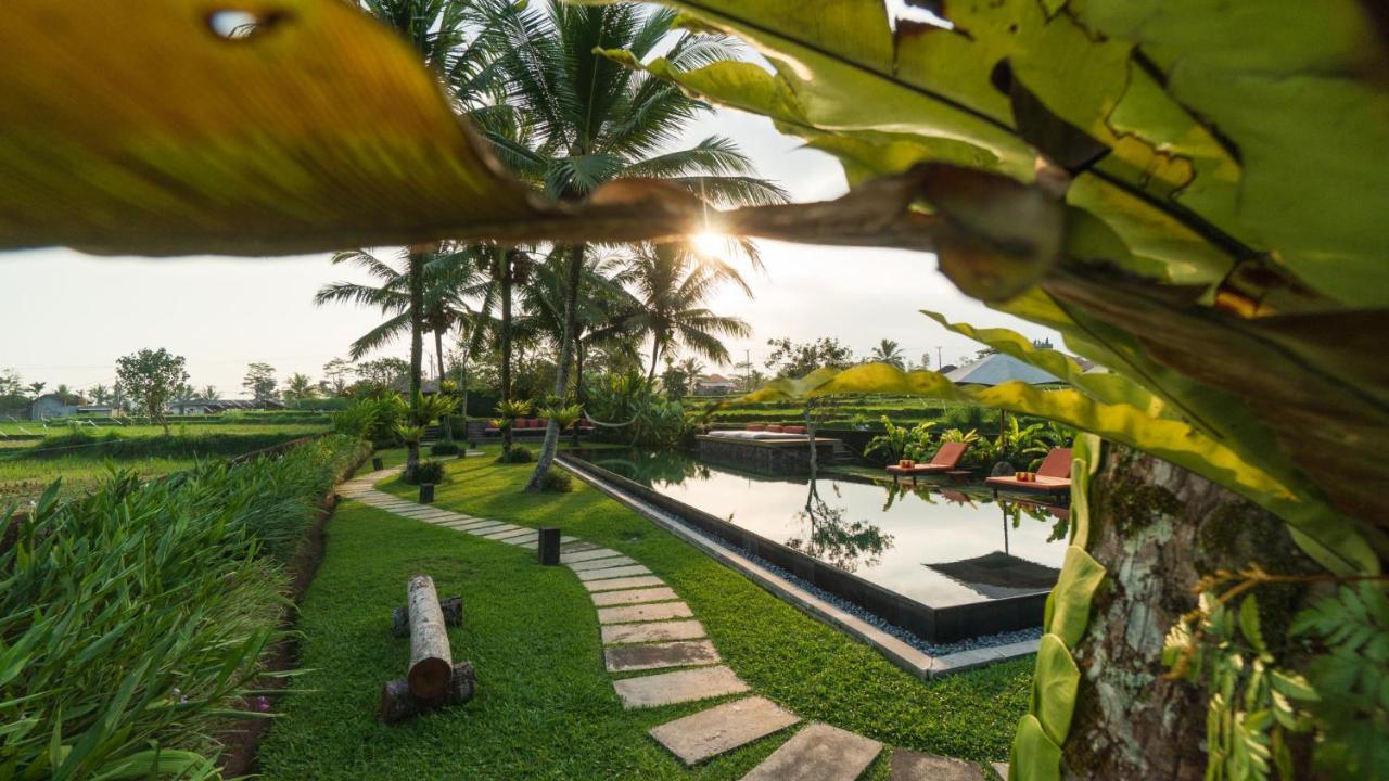 Amala Villas Ubud By Nakula Ngoại thất bức ảnh